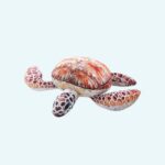 Red Sea Turtle Plush Animal Plush 87aa0330980ddad2f9e66f: 20cm|30cm|40cm|50cm|70cm