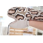 Plush Snake Puppet Plush Snake Plush Animals 87aa0330980ddad2f9e66f: 155cm