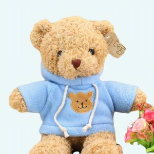 Teddy bear jumper blue Plush Bear Plush Animals Materials: Cotton