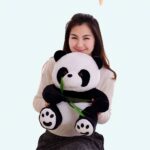Plush Panda Bear Plush Animals Materials: Cotton