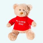 I love you teddy bear red jumper on a light blue background.