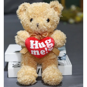 Beige plush bear hug me sitting in a book