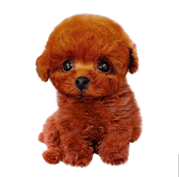 Mignon chiot teddy en peluche