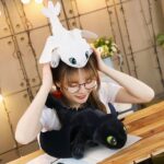 Pack de peluche Dragon Krokmou noir + Furie Eclair Peluche Fantastique Peluche Dragon 87aa0330980ddad2f9e66f: 35 cm