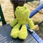 Cute Frog Plush Animal Plush Frog a7796c561c033735a2eb6c: Green