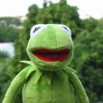 Sesame Street Kermit Plush Frog for Kids, Muppet Show Plush Doll, Plush, Toy, Christmas and Birthday Toys, 40cm Uncategorized a7796c561c033735a2eb6c: 16cm keychain|35cm hand puppet|40cm plush doll|60cm hand puppet