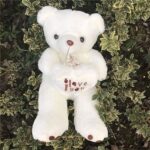 Hairy Teddy Bear Valentine's Day Plush a7796c561c033735a2eb6c: Beige|White