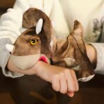 Brown Dinosaur Puppet Plush Fantastic Plush 87aa0330980ddad2f9e66f: 25cm