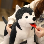 Husky plush toy for kids, 30/70cm, large size, soft plush dog doll, soothing toys, sleeping pillow, birthday gift for kids Plush Animals Plush Dog a7796c561c033735a2eb6c: 30cm|70cm