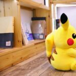 Pikachu plush in various sizes Uncategorized Filling: Cotton PP