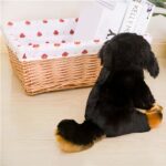 Dog Plush Animals Plush Dog a7796c561c033735a2eb6c: Beige|White|Grey|Brown|Black