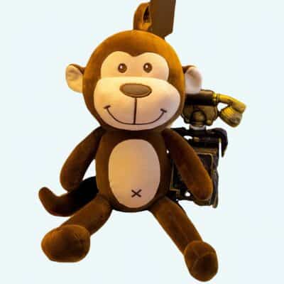 Cute Monkey Pillow Plush Animal Plush a75a4f63997cee053ca7f1: 45cm|60cm|70cm