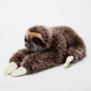 A soft brown plush sloth on a white background
