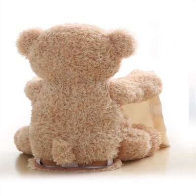 Cute Interactive Bear Stuffed Animal