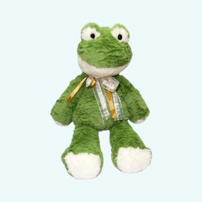 Frog Heating Plush – Easy-to-Use Warmth Buddy