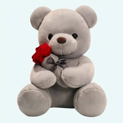 Valentine's Day Teddy Bear with Rose